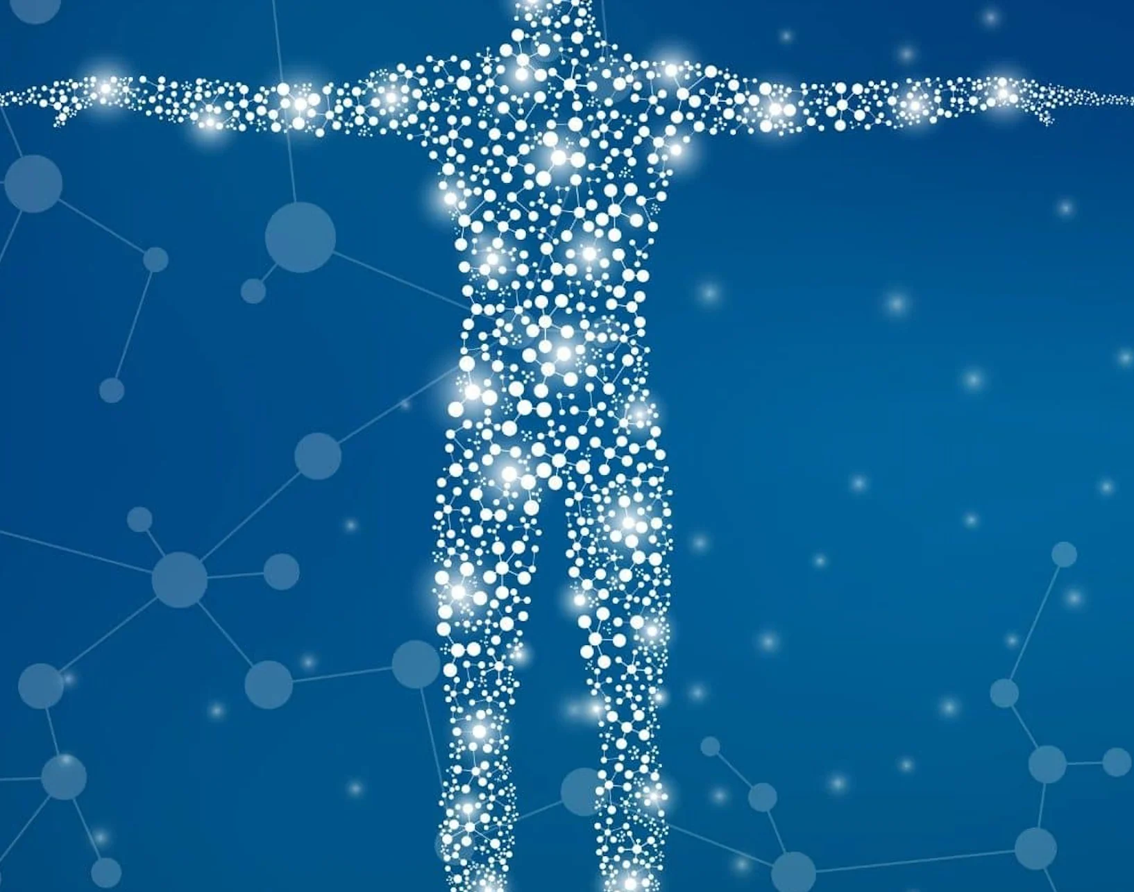 Het endocannabinoïde systeem